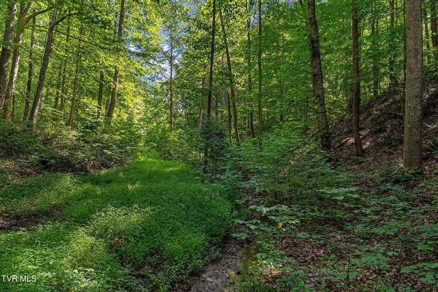 TBD Hermitage Ln, Mount Carmel, TN 37645 - photo 27