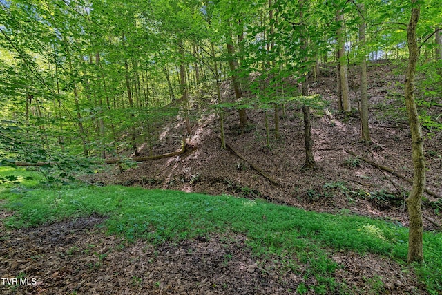 TBD Hermitage Ln, Mount Carmel, TN 37645 - photo 28