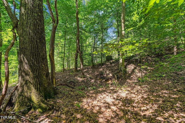 TBD Hermitage Ln, Mount Carmel, TN 37645 - photo 29