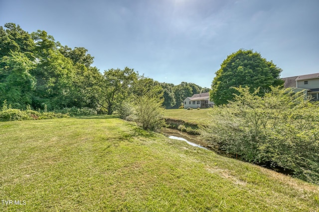 1725 Lakeview Dr Unit 42, Johnson City, TN 37601 - photo 30
