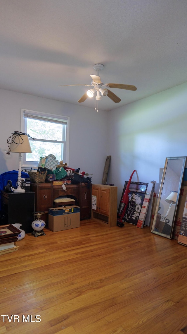 221 Timber Ridge Rd, Jonesborough, TN 37659 - office space with light wood finished floors and a ceiling fan