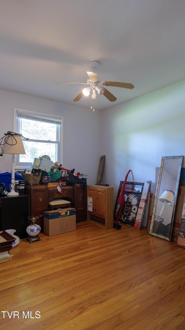 221 Timber Ridge Rd, Jonesborough, TN 37659 - office area with light wood finished floors and ceiling fan