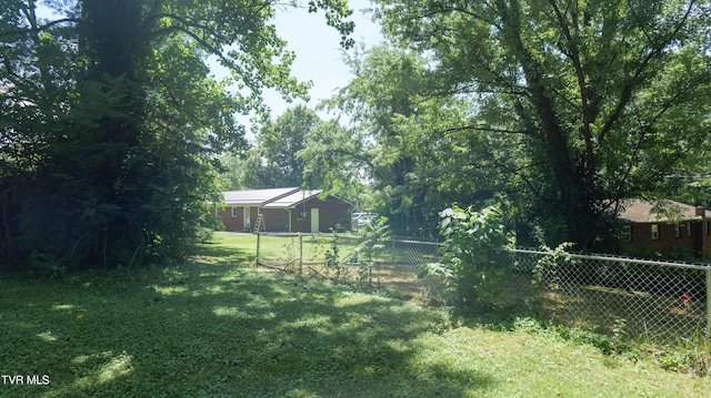 221 Timber Ridge Rd, Jonesborough, TN 37659 - view of yard