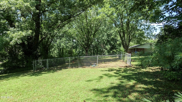 221 Timber Ridge Rd, Jonesborough, TN 37659 - view of yard