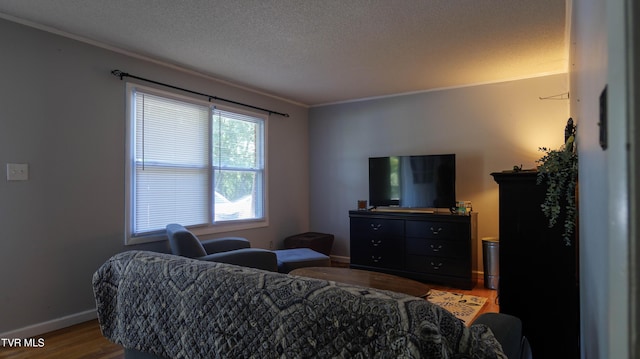 221 Timber Ridge Rd, Jonesborough, TN 37659 - living room featuring wood finished floors, crown molding, and a textured ceiling