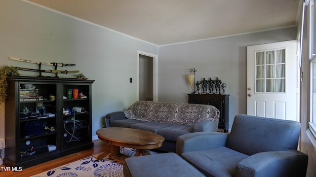 221 Timber Ridge Rd, Jonesborough, TN 37659 - living room with wood finished floors and crown molding
