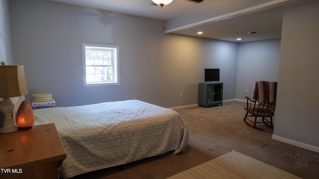 221 Timber Ridge Rd, Jonesborough, TN 37659 - carpeted bedroom featuring baseboards and recessed lighting