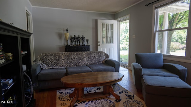 221 Timber Ridge Rd, Jonesborough, TN 37659 - living area featuring wood finished floors, healthy amount of natural light, and ornamental molding
