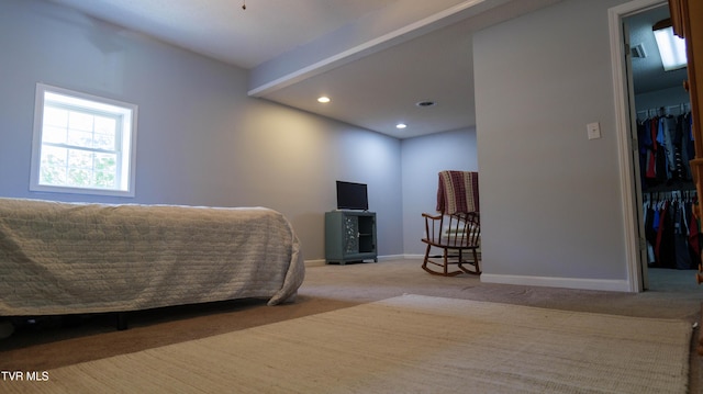 221 Timber Ridge Rd, Jonesborough, TN 37659 - carpeted bedroom featuring a walk in closet and recessed lighting