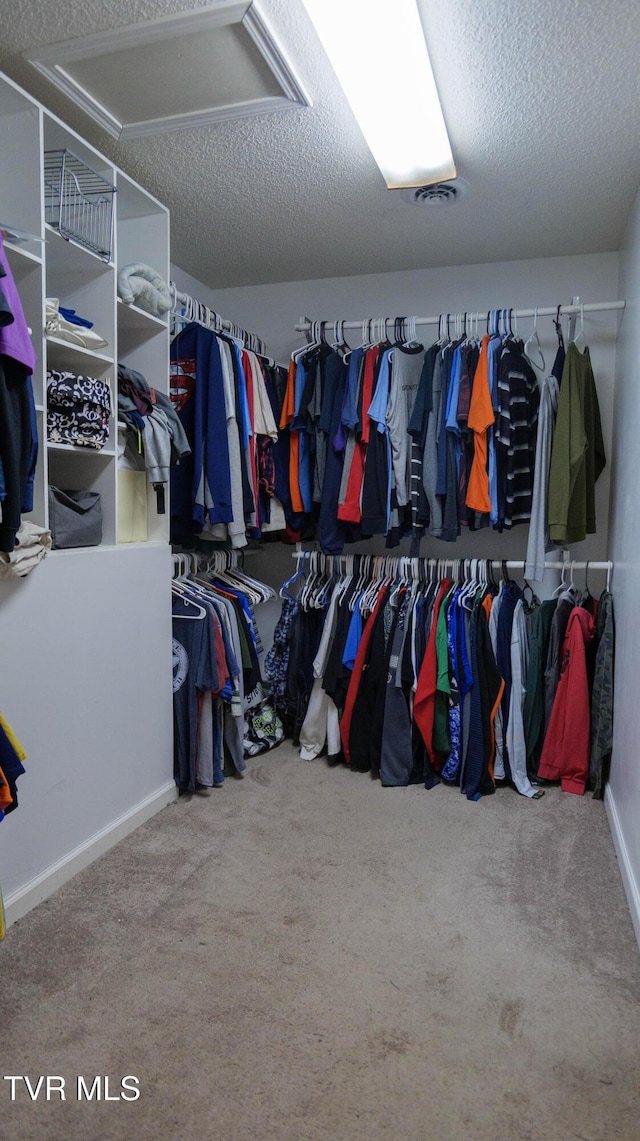221 Timber Ridge Rd, Jonesborough, TN 37659 - walk in closet featuring carpet flooring