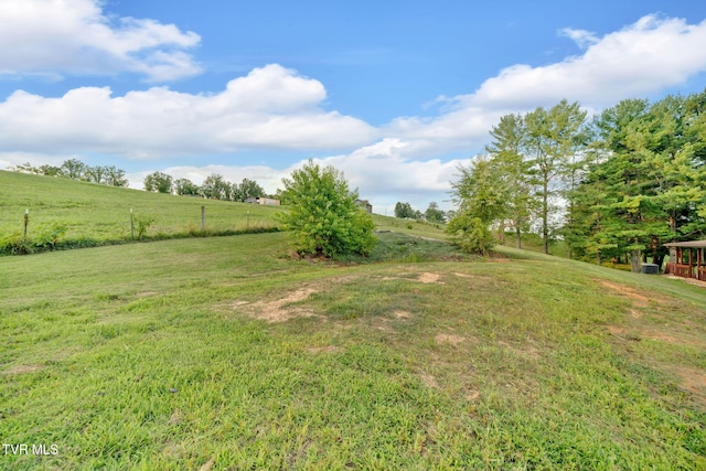 431 W Valley Dr, Kingsport, TN 37664 - photo 66