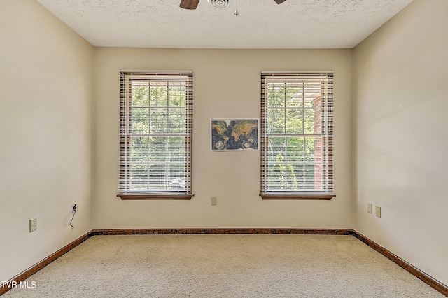 1024 Sheringham Ct, Kingsport, TN 37660 - photo 30