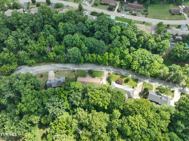 1024 Sheringham Ct, Kingsport, TN 37660 - photo 65
