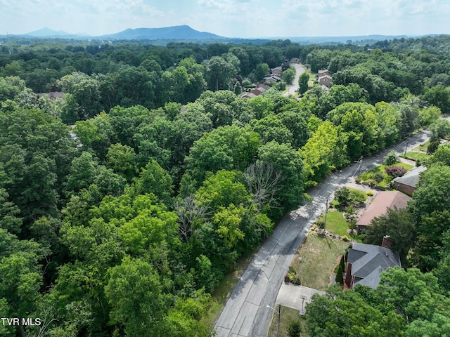 1024 Sheringham Ct, Kingsport, TN 37660 - photo 67
