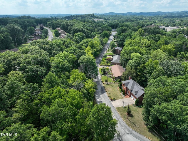 1024 Sheringham Ct, Kingsport, TN 37660 - photo 68