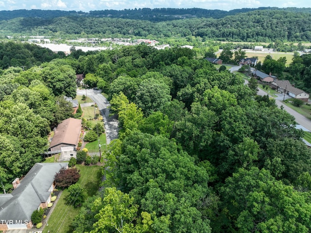 1024 Sheringham Ct, Kingsport, TN 37660 - photo 69