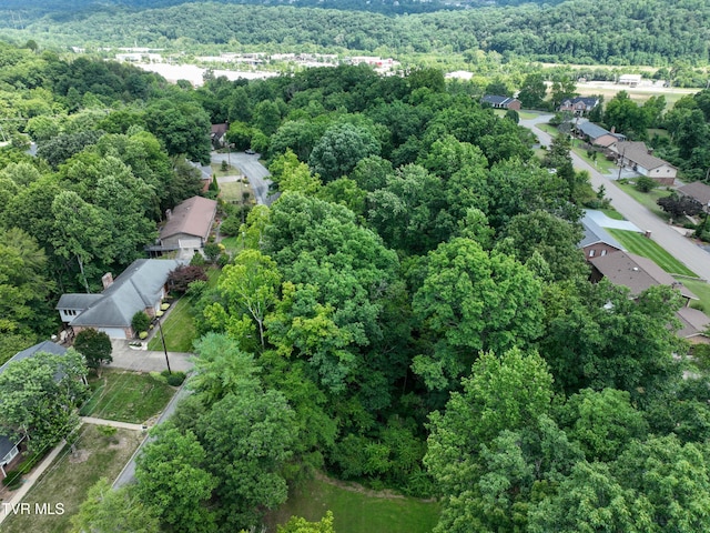 1024 Sheringham Ct, Kingsport, TN 37660 - photo 70