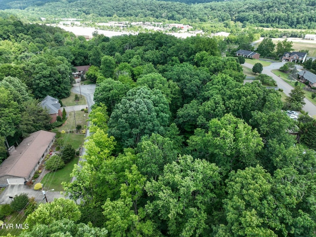 1024 Sheringham Ct, Kingsport, TN 37660 - photo 71
