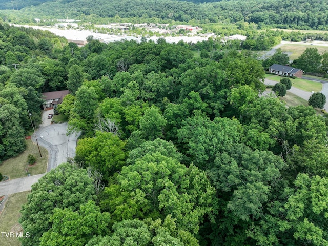 1024 Sheringham Ct, Kingsport, TN 37660 - photo 72
