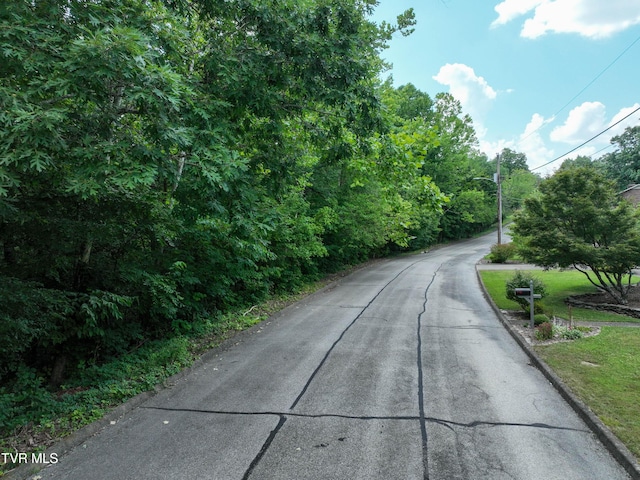 1024 Sheringham Ct, Kingsport, TN 37660 - photo 74