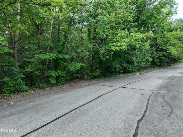 1024 Sheringham Ct, Kingsport, TN 37660 - photo 75
