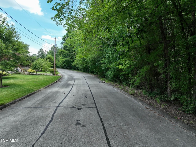 1024 Sheringham Ct, Kingsport, TN 37660 - photo 76
