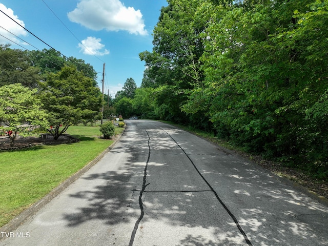 1024 Sheringham Ct, Kingsport, TN 37660 - photo 77