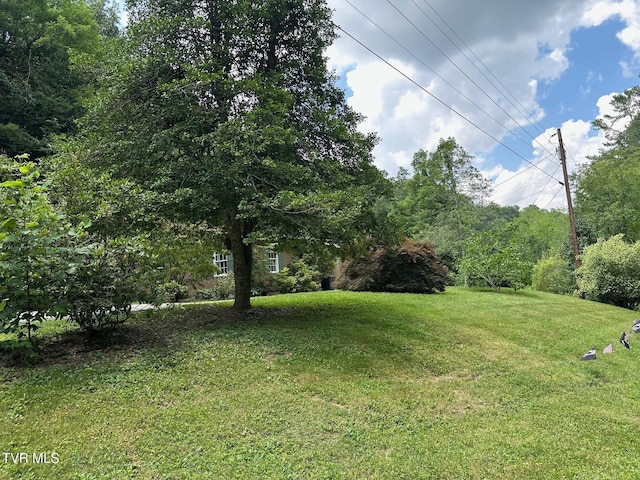 542 Sigman Hollow Rd, Bluff City, TN 37618 - view of green lawn