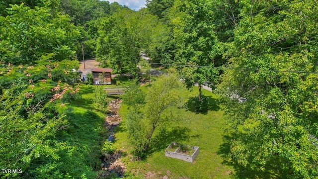 542 Sigman Hollow Rd, Bluff City, TN 37618 - view of subject property with a heavily wooded area