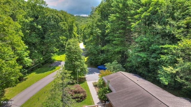 542 Sigman Hollow Rd, Bluff City, TN 37618 - bird's eye view of a forest