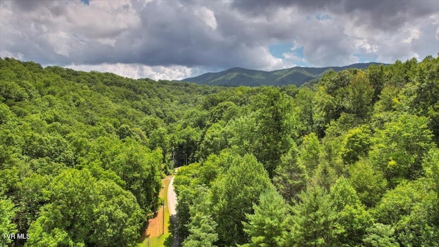 542 Sigman Hollow Rd, Bluff City, TN 37618 - mountain view with a heavily wooded area