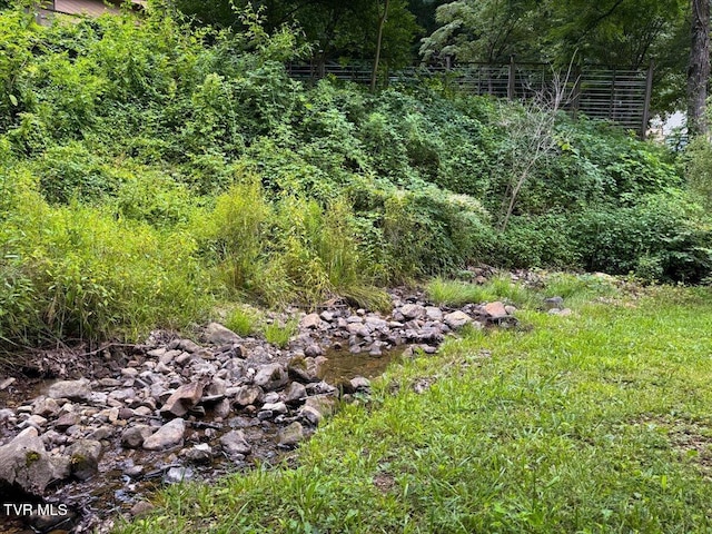 542 Sigman Hollow Rd, Bluff City, TN 37618 - view of yard with a view of trees