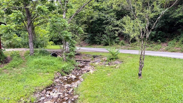 542 Sigman Hollow Rd, Bluff City, TN 37618 - view of green lawn
