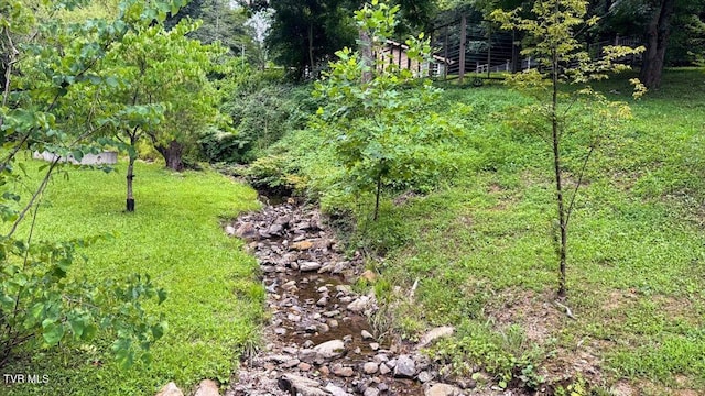 542 Sigman Hollow Rd, Bluff City, TN 37618 - view of yard
