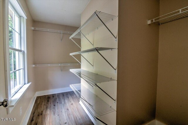 542 Sigman Hollow Rd, Bluff City, TN 37618 - walk in closet with wood finished floors