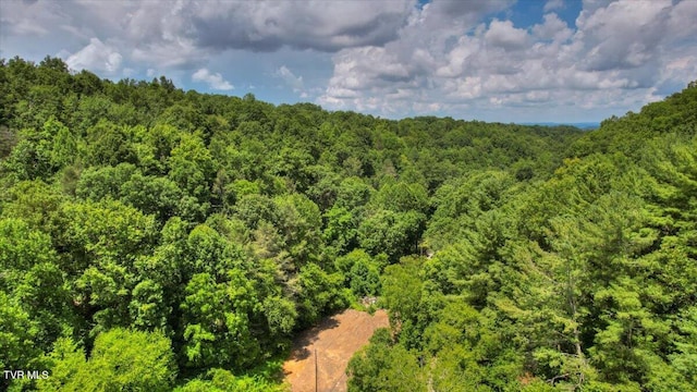 542 Sigman Hollow Rd, Bluff City, TN 37618 - drone / aerial view of a forest