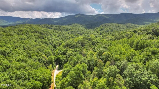 542 Sigman Hollow Rd, Bluff City, TN 37618 - view of mountain background with a heavily wooded area