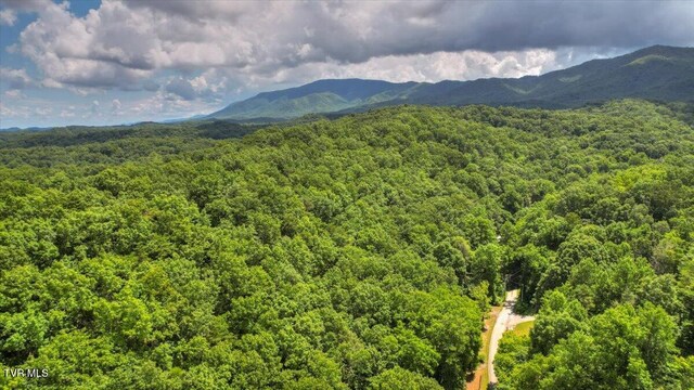 542 Sigman Hollow Rd, Bluff City, TN 37618 - view of mountain backdrop featuring a forest