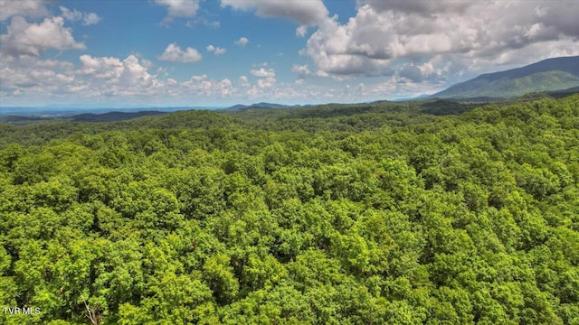 542 Sigman Hollow Rd, Bluff City, TN 37618 - view of mountain background featuring a heavily wooded area