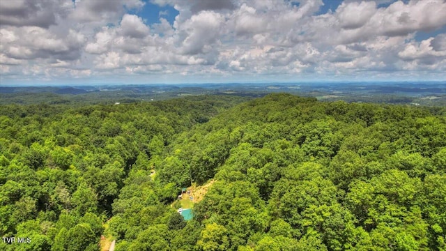 542 Sigman Hollow Rd, Bluff City, TN 37618 - drone / aerial view of a forest