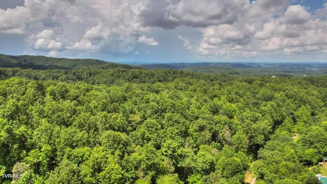 542 Sigman Hollow Rd, Bluff City, TN 37618 - aerial view of a forest