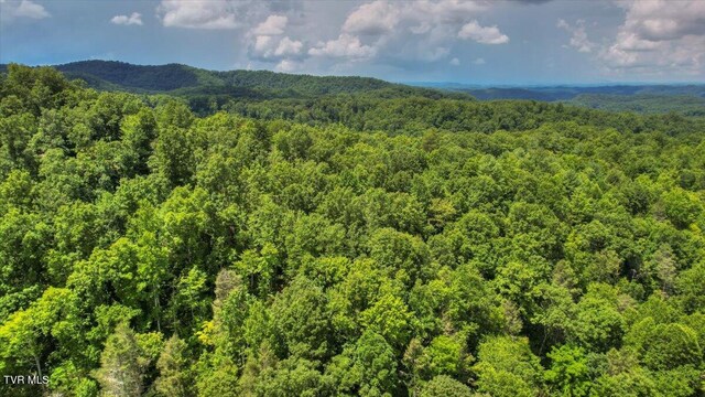 542 Sigman Hollow Rd, Bluff City, TN 37618 - drone / aerial view of a forest