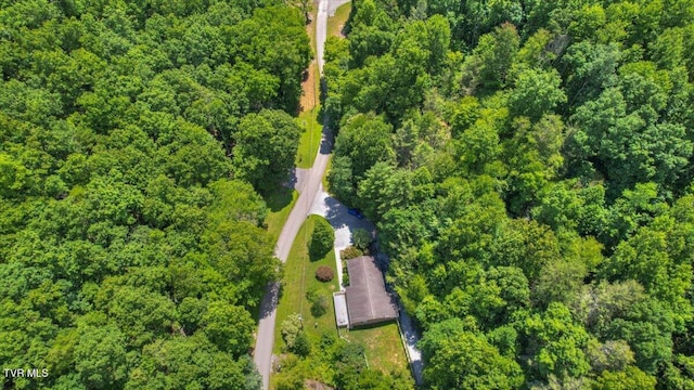 542 Sigman Hollow Rd, Bluff City, TN 37618 - view of property location