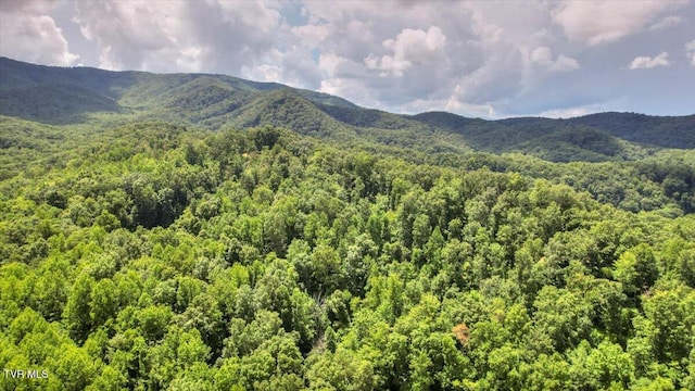 542 Sigman Hollow Rd, Bluff City, TN 37618 - mountain view with a heavily wooded area