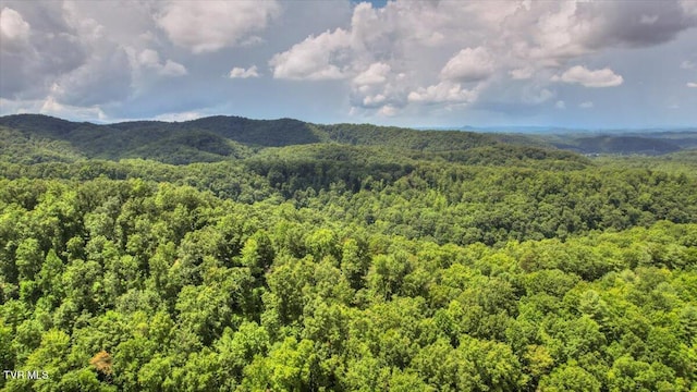 542 Sigman Hollow Rd, Bluff City, TN 37618 - view of mountain background with a heavily wooded area