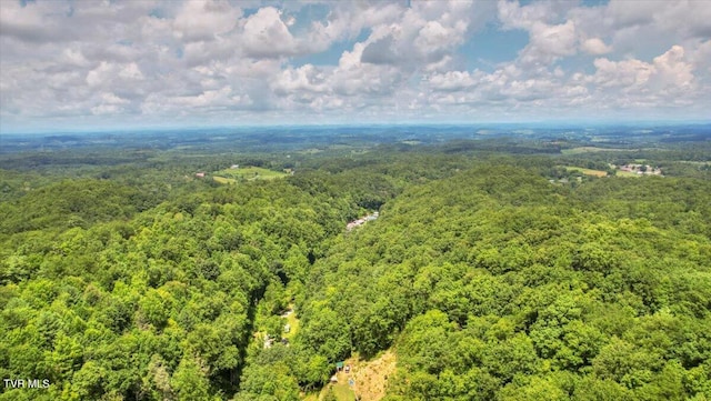 542 Sigman Hollow Rd, Bluff City, TN 37618 - bird's eye view of a heavily wooded area