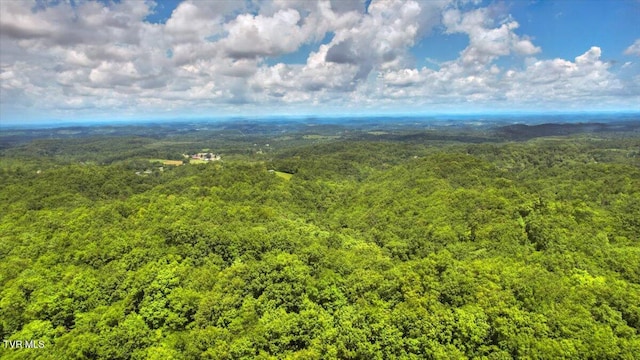 542 Sigman Hollow Rd, Bluff City, TN 37618 - drone / aerial view of a heavily wooded area