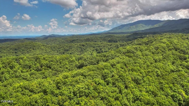 542 Sigman Hollow Rd, Bluff City, TN 37618 - mountain view featuring a forest