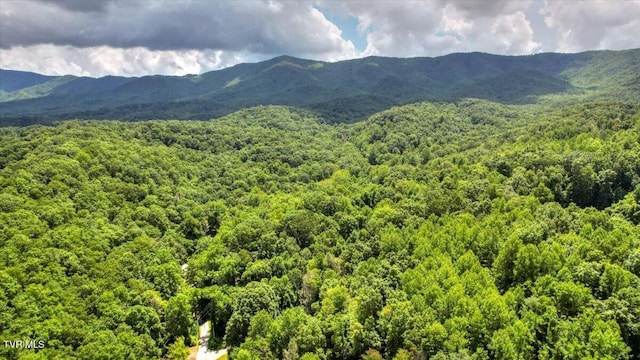 542 Sigman Hollow Rd, Bluff City, TN 37618 - view of mountain backdrop with a forest
