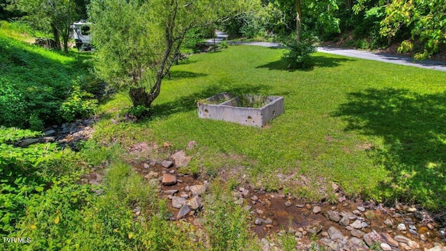 542 Sigman Hollow Rd, Bluff City, TN 37618 - view of grassy yard with a garden